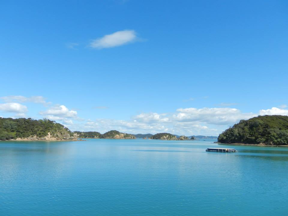 A photograph taken at the Bay of Islands in New Zealand. The photo is of the beautiful blue ocean and there are lots of different small islands in the photo. The islands are full of green trees and sandy beaches. There is a small jetty in the foreground. You can travel by boat or van to see the ocean here. 