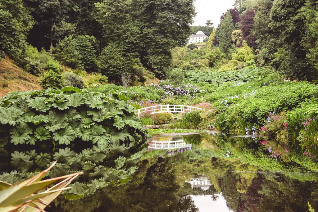 A photo of a lake in a garden. There is a little white bridge and lots of beautiful green plants. 