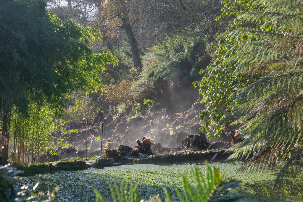 A photograph of a beautiful garden. The plants and trees are very green and surrounded by mist. 